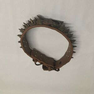 The Mighty Large Spiked Studded Dog Collar
